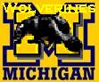 The University of Michigan is an example of an institution that only takes the young and attacks the old.